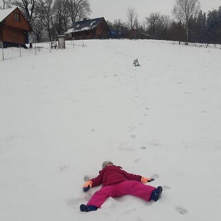 Przytulne Na Poddaszu Jelenia Góra Kültér fotó