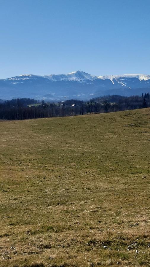 Przytulne Na Poddaszu Jelenia Góra Kültér fotó