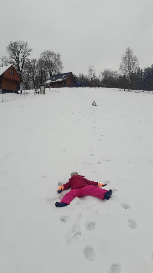 Przytulne Na Poddaszu Jelenia Góra Kültér fotó